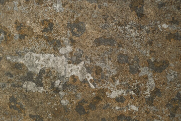 Wall Mural - Porcelain wall tile texture