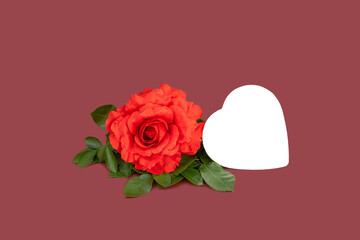 Red rose and white heart on red background, place for text.  Valentines Day, Birthday, Greeting Card. 