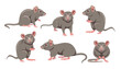 Cute grey mouse in different poses cartoon illustration set. Little house mice or rat character with long tail isolated on white background. Animal, rodent concept