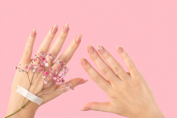 Wall Mural - Female two hands with pink gypsophila flowers gel polish beige long nails on a pink isolated background. Beauty spa concept, manicure marble design