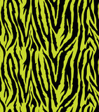 Fototapeta Konie - 
zebra pattern vector repeat background, animal print for your ideas