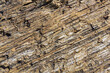 background, texture of layered brown rock