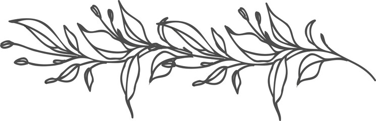 Wall Mural - Line art floral dividers. Dividers with Branches, Plants and Flowers