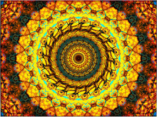 Abstract, Autumnal Mandala Style, With Spirals, And Intricate Patterns, Within A Border       Digital Art