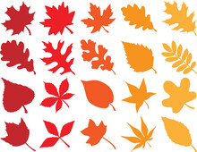 Fall Leaves Bundle