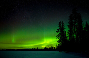 Wall Mural - aurora borealis above a frozen lake with a forest silhouetted in the midground