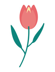 Wall Mural - Flat Flower tulip