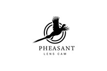 Beauty Flying Pheasant Bird Silhouette With Camera Lens Logo Design