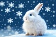 rabbit in the winter forest christmas background