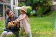 © ND STOCK - Mother and son toddler boy on organic vegetable farm in summer.Mother with kid Harvesting Organic vegetable potatoes Cabbage on farm at Home school kid learning how to vegetable growth with mother