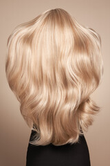 back view of woman with long beautiful blond hair isolated on beige background. dyeing and hair care