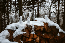 Kleine Schneemänner Auf Holz