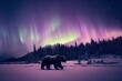 brown bear in winter landscape with aurora borealis