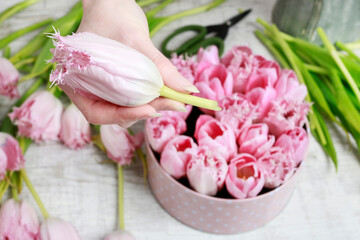 Wall Mural - Florist at work. How to make beautiful dotted flower box with tulips