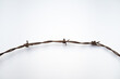 Old barbed wire from the fence on a white background. Prison wire on white isolate.