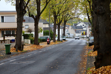 street in autumn