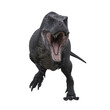 Tyrannosaurus Rex runing towards the camera aggressively with mouth open, 3D illustration isolated on transparent background.