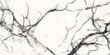 White Crystal satvario marble texture background with black-gold curly vines. carrara glossy marble texture and thassos satvario quartzite. decorative sandstone white flooring for ceramic wall tile.