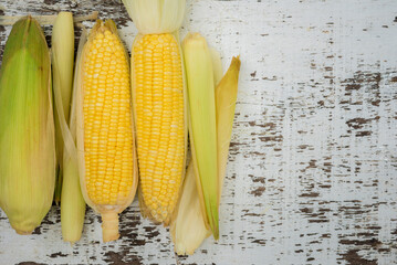 Wall Mural - Sweet Corn on white background, Yellow Sweet corn on wood  background , Yellow Corn, sweet corn, healthy organic food, bio nutrition