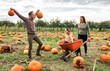 family and daughter on a field with wheelbarrow and pumpkins