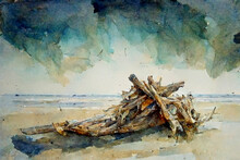 Driftwood On A Beach
