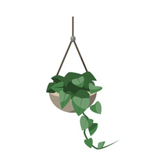 Wall Mural - Plant in hanging flowerpot flat vector illustration. Indoor houseplant for home or office, flower with green leaves in cachepot isolated on white background. Nature, urban jungle concept