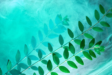 Abstract green background with leaves and paints in water. Backdrop for perfume, cosmetic products