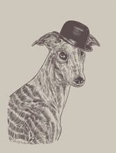 Spanish Galgo Wearing Funny Hat And Monocle, Hand Drawn Illustration