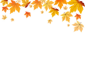 autumn foliage png. on isolated transparent background. abstract wallpaper design with maple leaves,