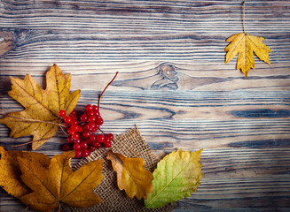 autumn leaf on wood background (top view)