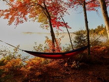 Fog Rising Off Of Lake Behind A Hammock On A Lake In Maine In Autumn