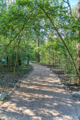 Canvas Print - Narrow rough road hiking trail along small trees in Bull Creek Austin Texas