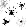 Halloween spider vector creepy
