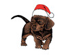 Vector hand-drawn brown puppy dog in Santa Claus red hat on white isolated,graphical pet