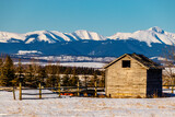 Fototapeta Na ścianę - Rustic shed in the shadow of the foothills. Springbank, Alberta, Canada