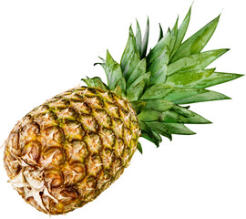 Canvas Print - Ripe tasty pineapple isolated on white
