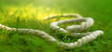 A White Sea Rope Lies On The Green Grass In The Rays Of The Sun. A Long Crab Rope For Crafts And Decorations On A Green Background.