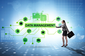 Wall Mural - Businesswoman in data management concept