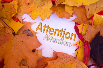 Poster - Autumn leaves, objects with Attention text. Natural patterns, color design.