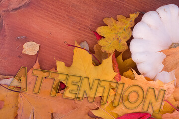Poster - Autumn leaves, objects with Attention text. Natural patterns, color design.