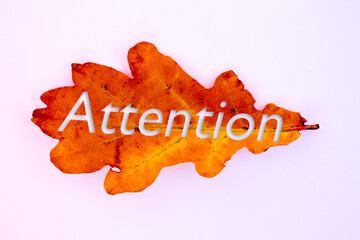 Poster - Autumn leaves, objects with Attention text. Natural patterns, color design.