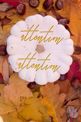 Poster - Autumn leaves, objects with Attention text. Natural patterns, color design.