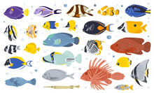 Sea Fish Vector Cartoon Icon.Tropical  Ocean Underwater Wildlife Animal Set. Aquarium Fishes Flat Isolated Illustration.