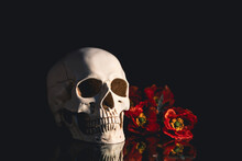 Human Skull And Flowers. Day Of The Dead, Dia De Los Muertos Character.