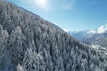 Wall Mural - neve montagna paesaggio alpino nevicata 