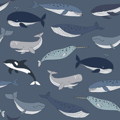 Wall Mural - Whale sea animal vector seamless pattern.