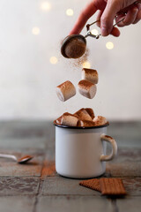 Hot chocolate and marshmallow