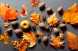 collection of dry autumn fruitage and leaves 3d illustration
