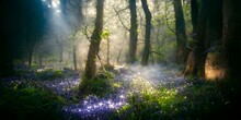 Ethereal Forest Scene With Bluebells