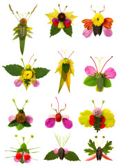 insect from leaves and flowers-  activity for kids, collage - set -collection